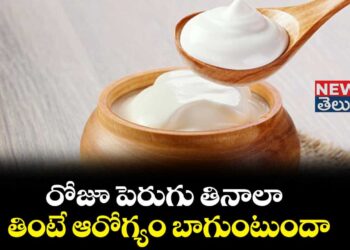  Curd :రోజూ పెరుగు తీసుకోవడం వల్ల ఎన్ని ప్రయోజనాలు తెలుసా?