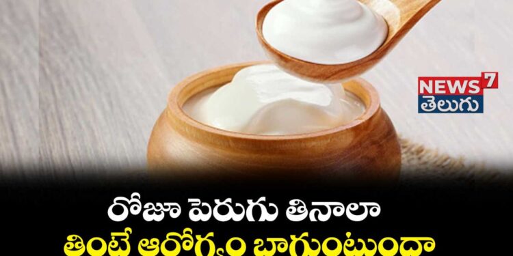 Curd :రోజూ పెరుగు తీసుకోవడం వల్ల ఎన్ని ప్రయోజనాలు తెలుసా?