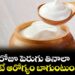  Curd :రోజూ పెరుగు తీసుకోవడం వల్ల ఎన్ని ప్రయోజనాలు తెలుసా?