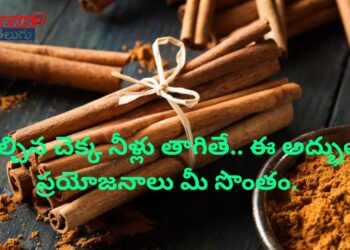 దాల్చిన చెక్క నీళ్లు తాగితే.. ఈ అద్భుత ప్రయోజనాలు మీ సొంతం..