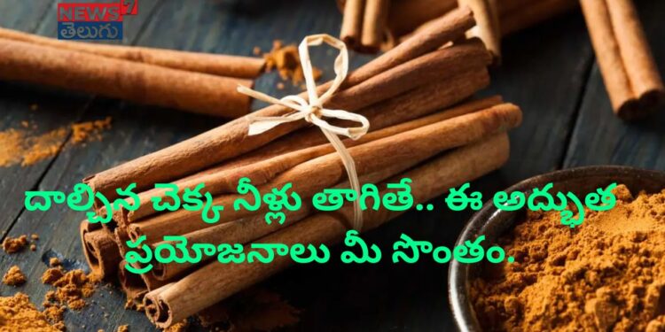 దాల్చిన చెక్క నీళ్లు తాగితే.. ఈ అద్భుత ప్రయోజనాలు మీ సొంతం..