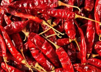 Chilli:మిర్చి ధరలు ఎందుకు తగ్గాయి?