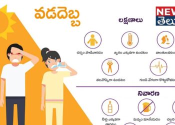Heatwave In India: “వడదెబ్బ – లక్షణాలు – నివారణ