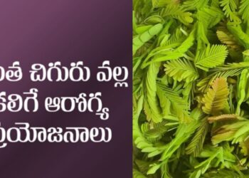 పులిచింత ఆకులో దాగివున్న ప్రయోజనాలు తెలుసా..? ఎన్నో అనారోగ్య సమస్యలకు చెక్‌