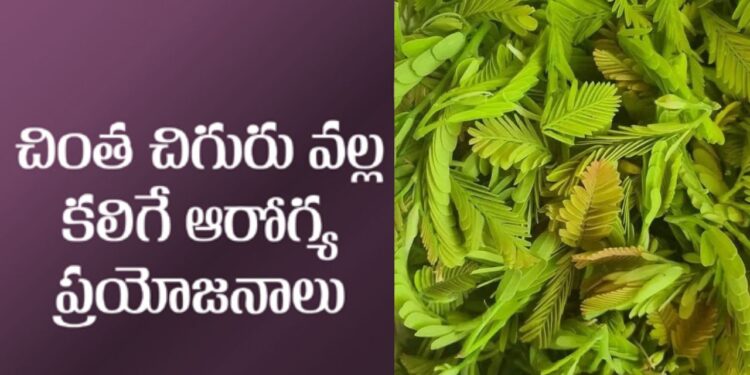 పులిచింత ఆకులో దాగివున్న ప్రయోజనాలు తెలుసా..? ఎన్నో అనారోగ్య సమస్యలకు చెక్‌