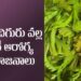 పులిచింత ఆకులో దాగివున్న ప్రయోజనాలు తెలుసా..? ఎన్నో అనారోగ్య సమస్యలకు చెక్‌