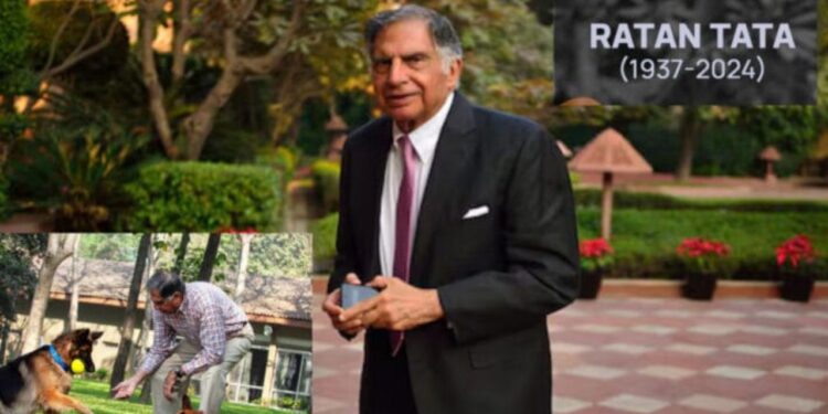 Ratan Tata: అత్యధిక వాటా దాతృత్వం కోసం..!