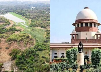 Supreme Court: చెట్లను అనుమతుల్లేకుండా నరికి వేస్తారా?