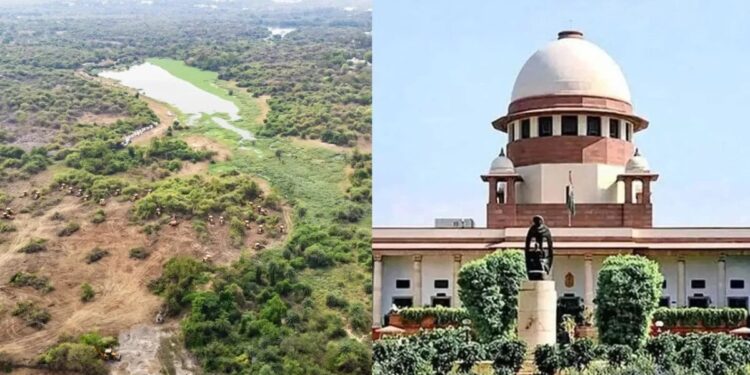 Supreme Court: చెట్లను అనుమతుల్లేకుండా నరికి వేస్తారా?