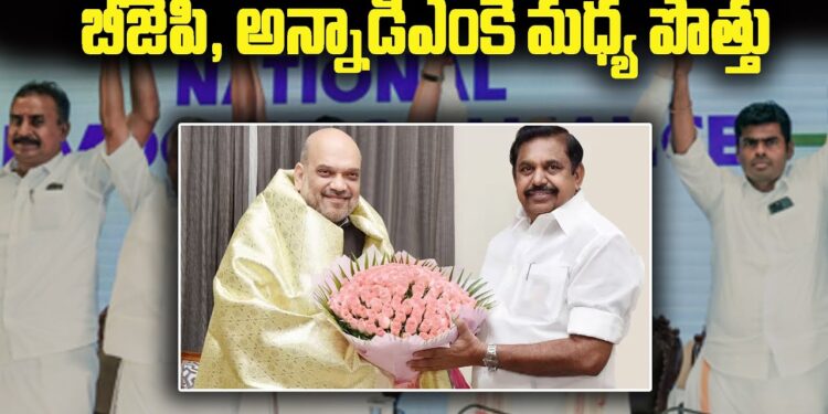 Pawan Kalyan: పొత్తుపై పవన్ హర్షం