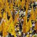 TDP : మహానాడు ప్రస్థానం