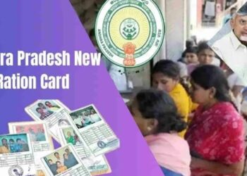 AP Ration Cards: మనమిత్ర వాట్సాప్ గవర్నెన్స్ ఆధారంగా కొత్త రేషన్ కార్డులు జారీ