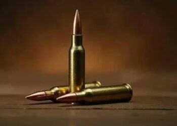 Suryapet DSP Parthasarathy: అక్రమంగా 100 బుల్లెట్లు..!