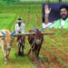 Telangana Government: రైతుల ఖాతాల్లోకి డబ్బులు..!