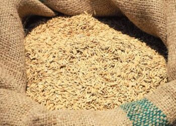 Money: భర్తకు దిమ్మ తిరిగే షాక్ ఇచ్చిన భార్య.. అసలు ఏమి జరిగిందంటే!