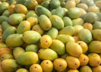 America: కోట్ల రూపాయల సరుకు ధ్వంసం..!