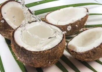Coconut: నీళ్లు ఎలా వస్తాయి?