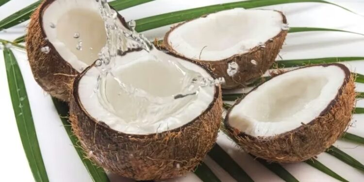 Coconut: నీళ్లు ఎలా వస్తాయి?