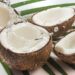 Coconut: నీళ్లు ఎలా వస్తాయి?