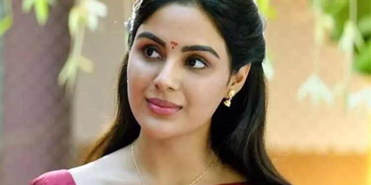 Sanyuktha Menon: డైరీ ఫుల్..!