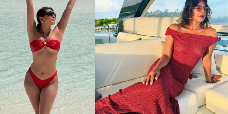 Priyanka Chopra: బికినీలో  సెగలు..!