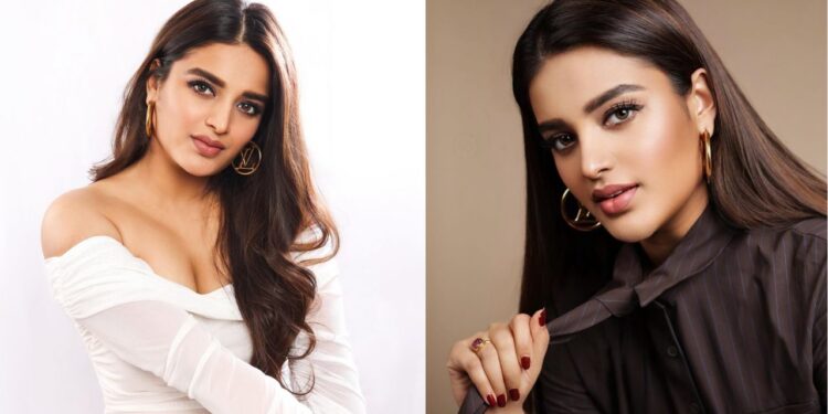 Nidhi Agerwal: వెంకీ సినిమాలో ఛాన్స్