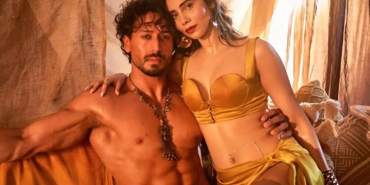 Zara Khan: యంగ్ హీరోతో బ్రిటిష్ నటి