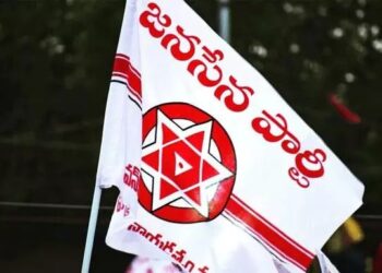 Janasena: గ్రౌండ్ లెవెల్ లో   ఏం జరుగుతోంది ?