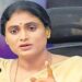 Ys Sharmila: మాట వినడం లేదు