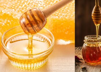 HealthTips:రోజూ తేనె తినడం వల్ల దీర్ఘకాల లాభాలు – ఆరోగ్య రహస్యాలు