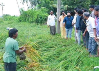 Andhra Pradesh: మొంథా తుఫాన్ మిగిల్చిన నష్టం ఎంతటే?