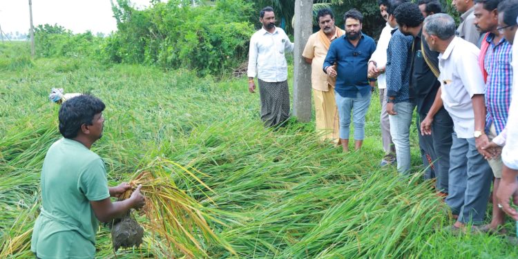 Andhra Pradesh: మొంథా తుఫాన్ మిగిల్చిన నష్టం ఎంతటే?