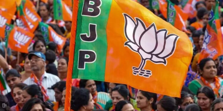 Bjp: ఆల్టర్నేషన్ కావాలనే కాన్ఫిడెన్సా ?