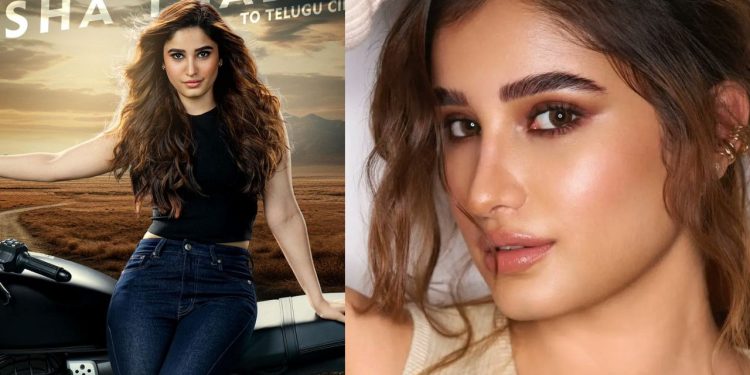 AB4: స్టార్ కిడ్స్, స్టార్ డైరెక్టర్, స్టార్ ప్రొడ్యూసర్స్ కలయికలో