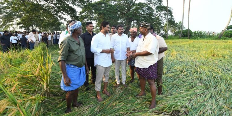 Ys Jagan: అపార నష్టం.. ఆదుకోవాలి