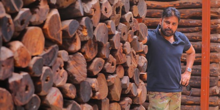 Red sandalwood: ఎవరెవరు కొంటారు