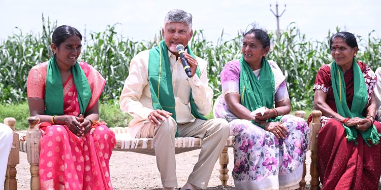Andhra Pradesh: 46,85,838 మంది రైతులకు రూ.3135 కోట్లు జమ