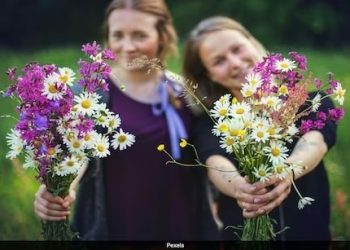 Latvia: మగాళ్లు అద్దెకు కావాలి..ఎక్కడంటే?