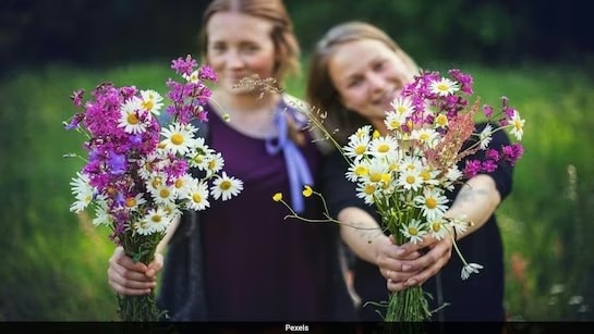 Latvia: మగాళ్లు అద్దెకు కావాలి..ఎక్కడంటే?