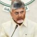 Chandrababu: ఎవ‌రైనా ప‌ద్ధ‌తిగా ఉండాల్సిందే