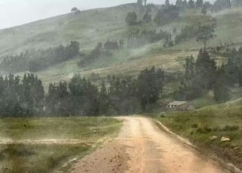 Maharashtra | మహారాష్ట్రలో ఓ భారీ స్కామ్.. షాకింగ్ విషయాలు వెలుగులోకి..!