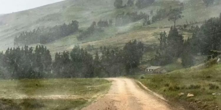 Maharashtra | మహారాష్ట్రలో ఓ భారీ స్కామ్.. షాకింగ్ విషయాలు వెలుగులోకి..!