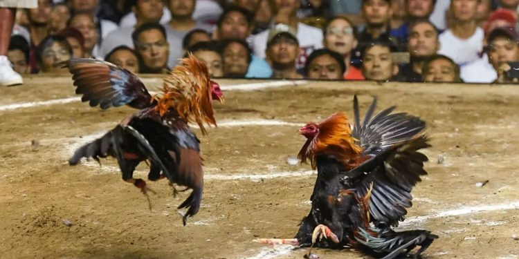 Andhra Pradesh | బయట విమర్శలు… లోపల స్నేహ హస్తాలు!