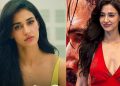 Disha Patani Success Story