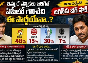 AP Election Survey