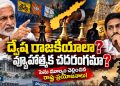 Vijayasai Reddy Political Strategy